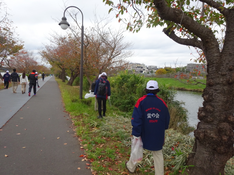 f:id:daisukiibaraki:20151031102441j:image:w360