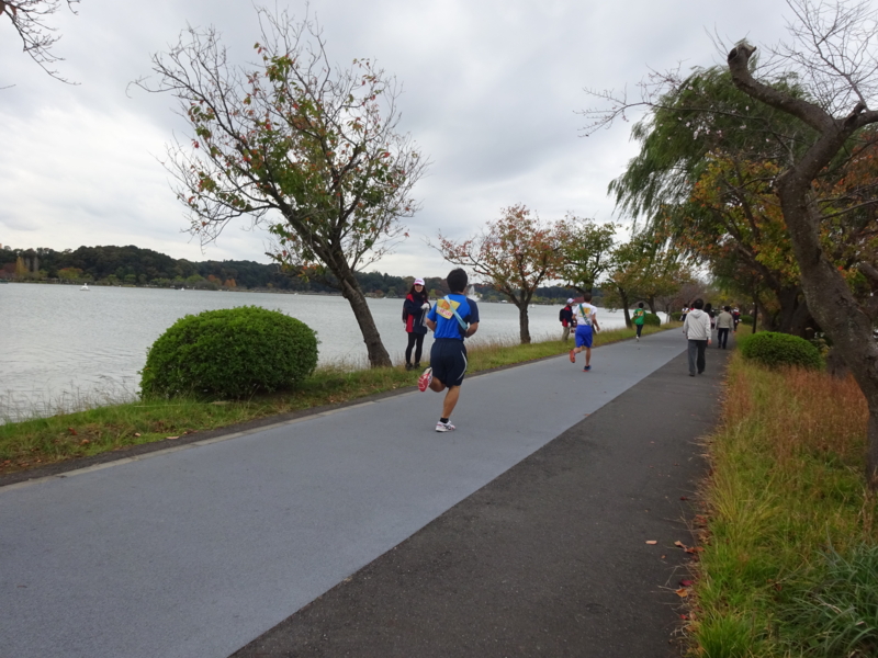 f:id:daisukiibaraki:20151031103757j:image:w360