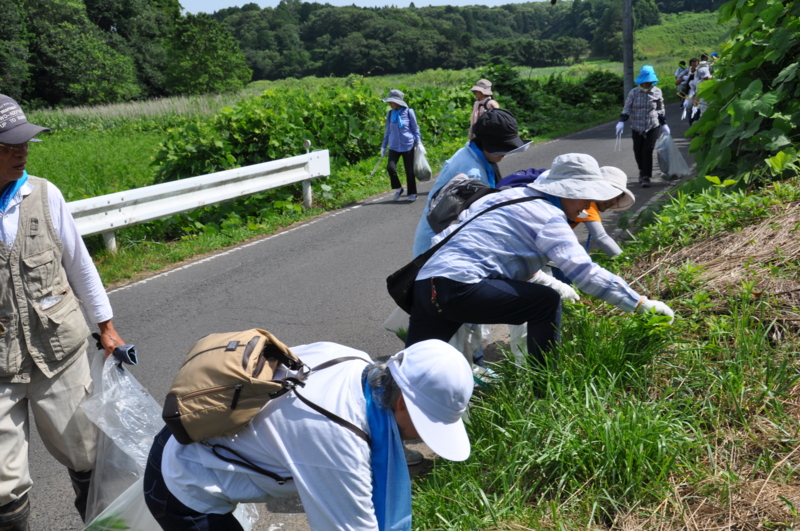 f:id:daisukiibaraki:20160716092745j:image:w640