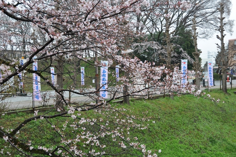 f:id:daisukiibaraki:20170408092250j:image:w640 f:id:daisukiibaraki:20170408092250j:image:w640