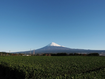 f:id:daisukiibaraki:20190218085018p:plain f:id:daisukiibaraki:20190218085018p:plain