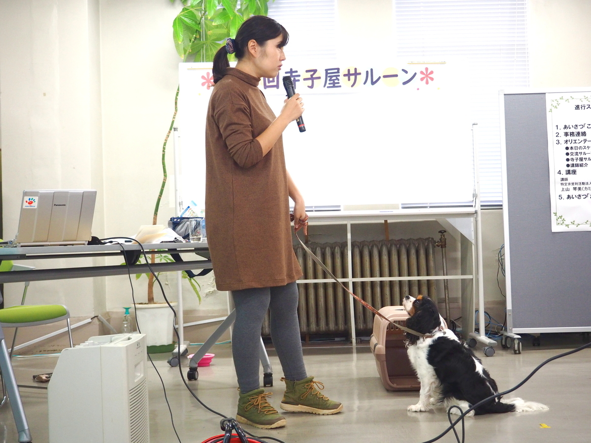 f:id:daisukiibaraki:20191024151201j:plain f:id:daisukiibaraki:20191024151201j:plain