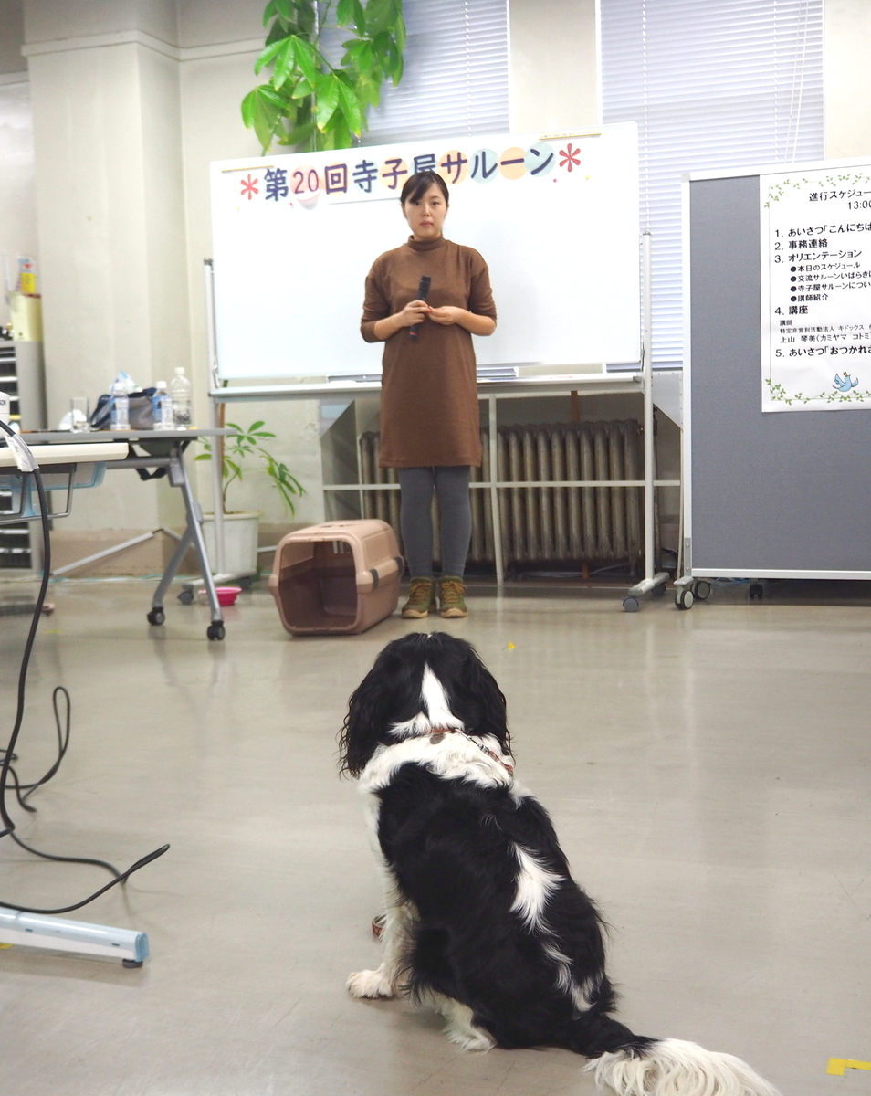 f:id:daisukiibaraki:20191024151233j:plain f:id:daisukiibaraki:20191024151233j:plain