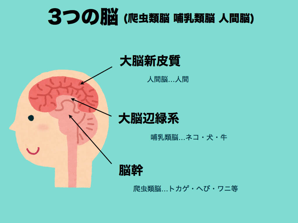f:id:daisukiwriting:20200105235231j:plain f:id:daisukiwriting:20200105235231j:plain