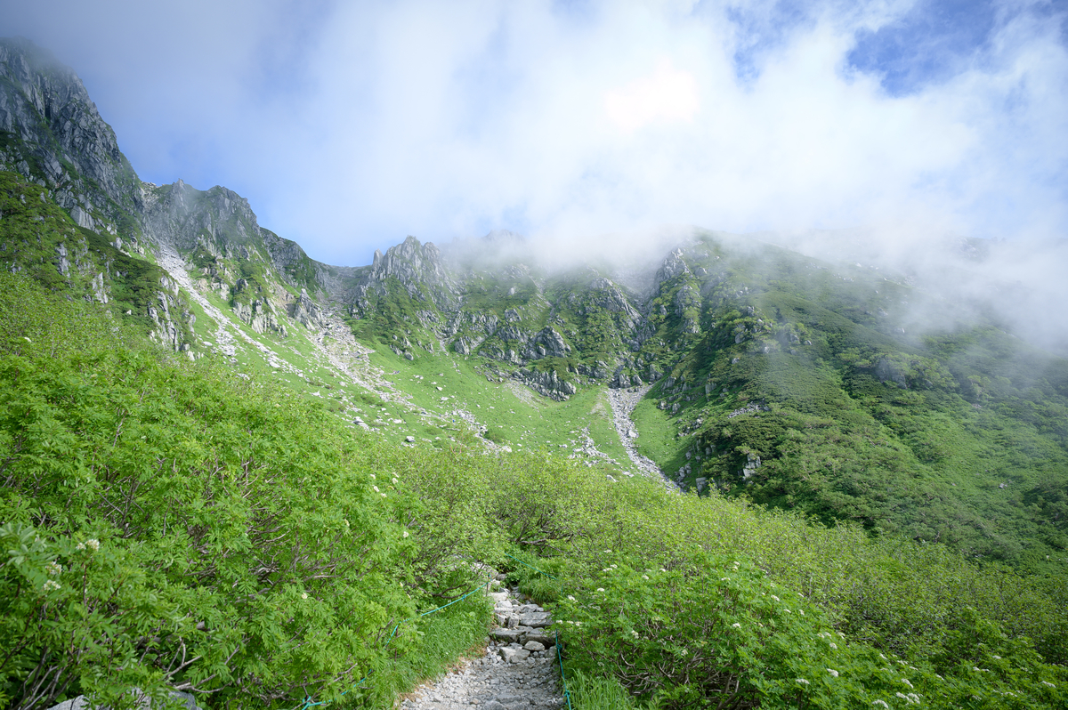 f:id:daitai_Iro:20200728221317j:plain
