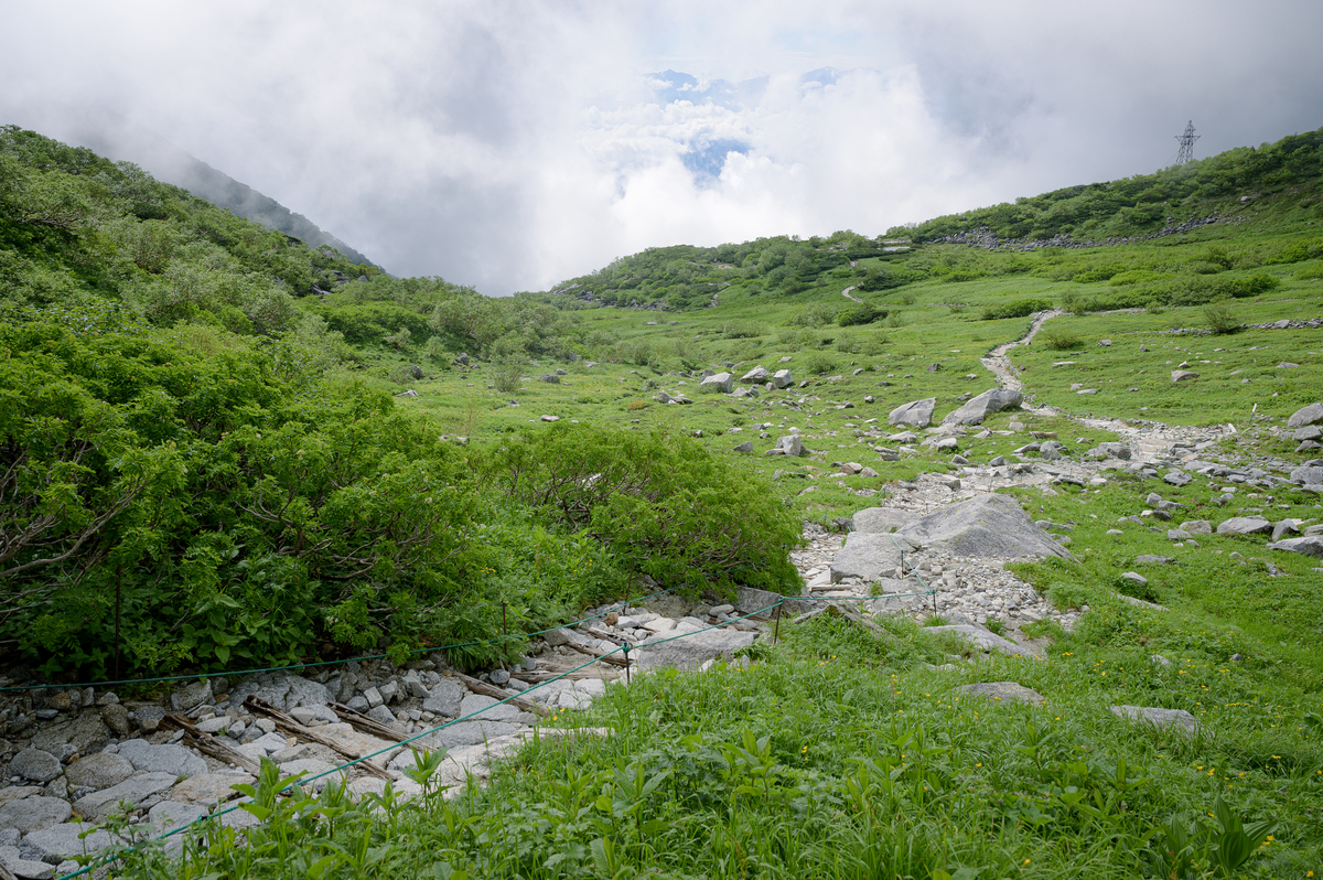 f:id:daitai_Iro:20200728221835j:plain