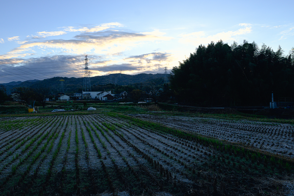 f:id:daitai_Iro:20210124202811j:plain