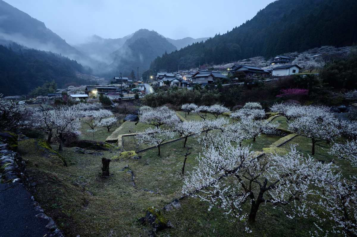 f:id:daitai_Iro:20210125215027j:plain