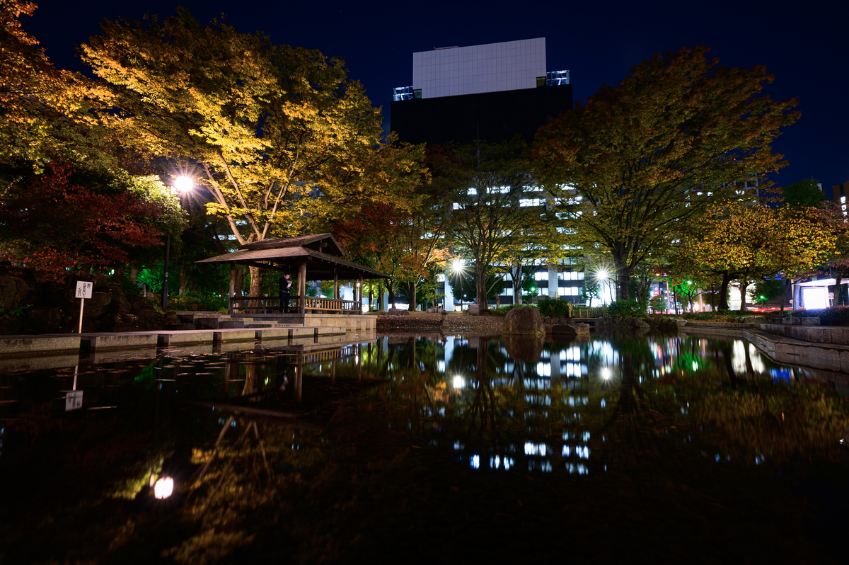f:id:daitai_Iro:20210125220456j:plain