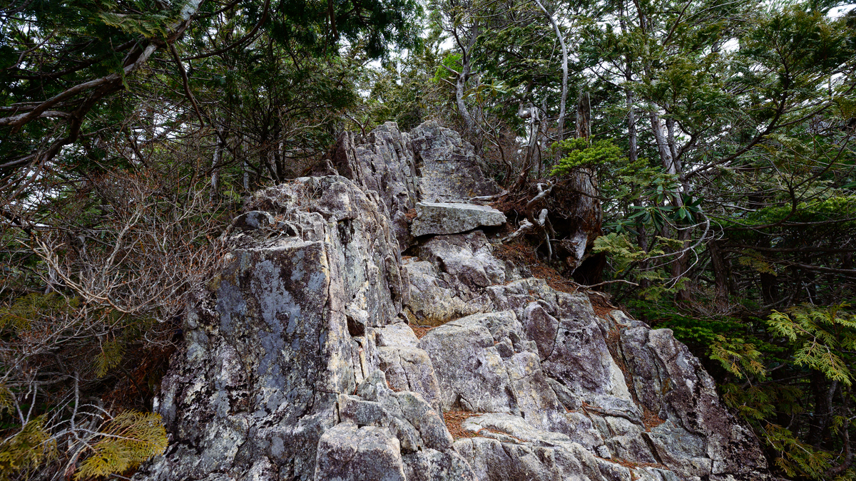 f:id:daitai_Iro:20210406200405j:plain