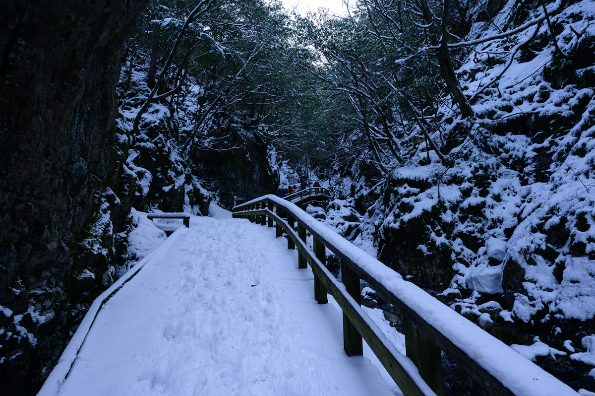 f:id:daitai_Iro:20210406201214j:plain