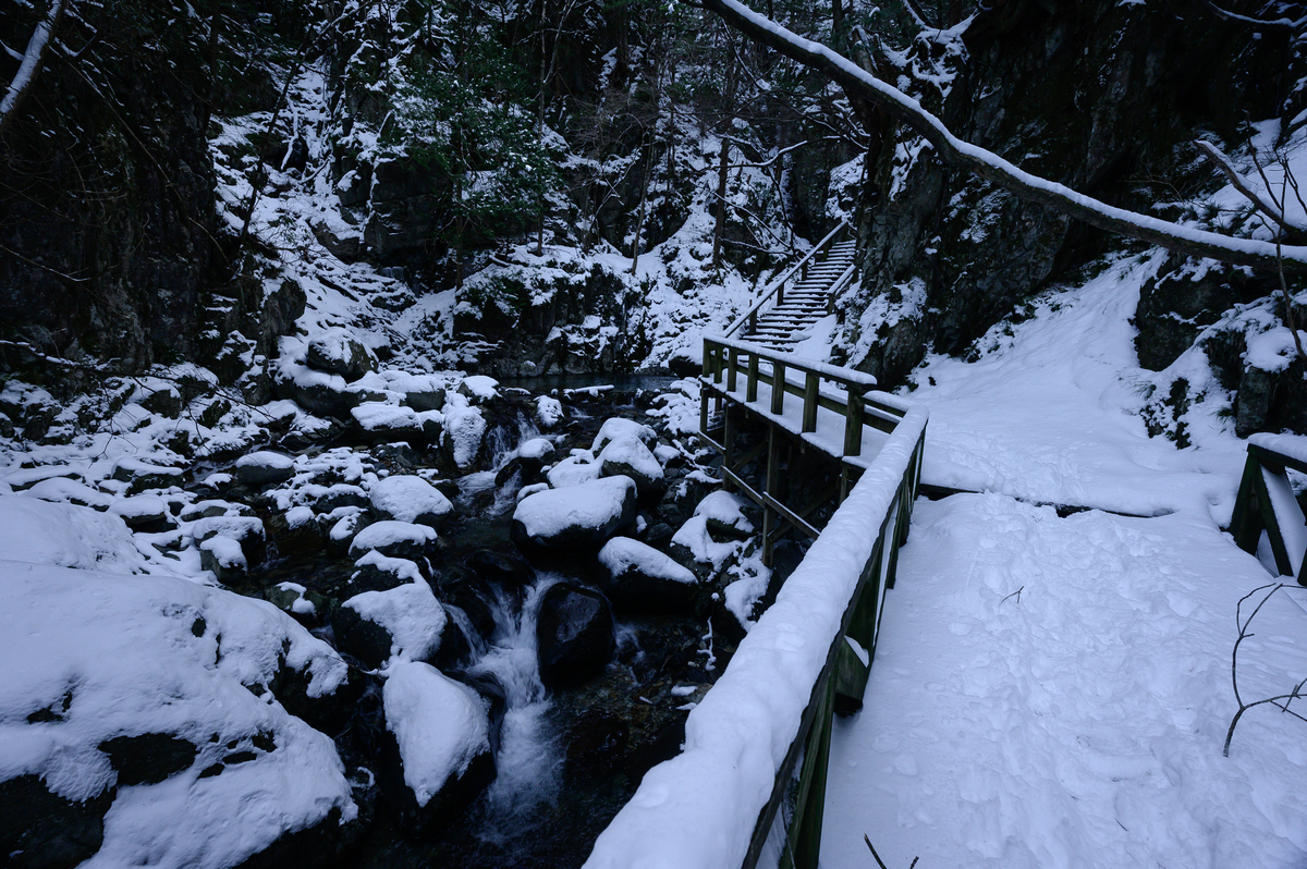 f:id:daitai_Iro:20210406201239j:plain