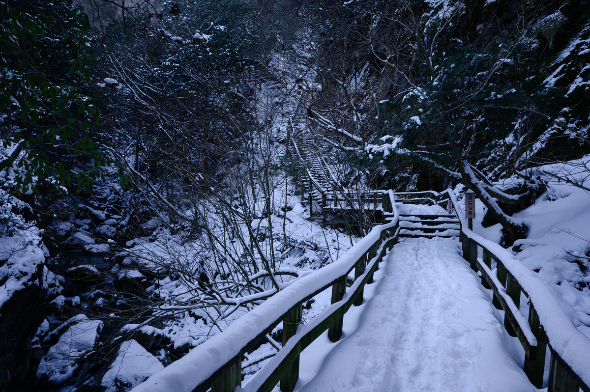 f:id:daitai_Iro:20210406201307j:plain