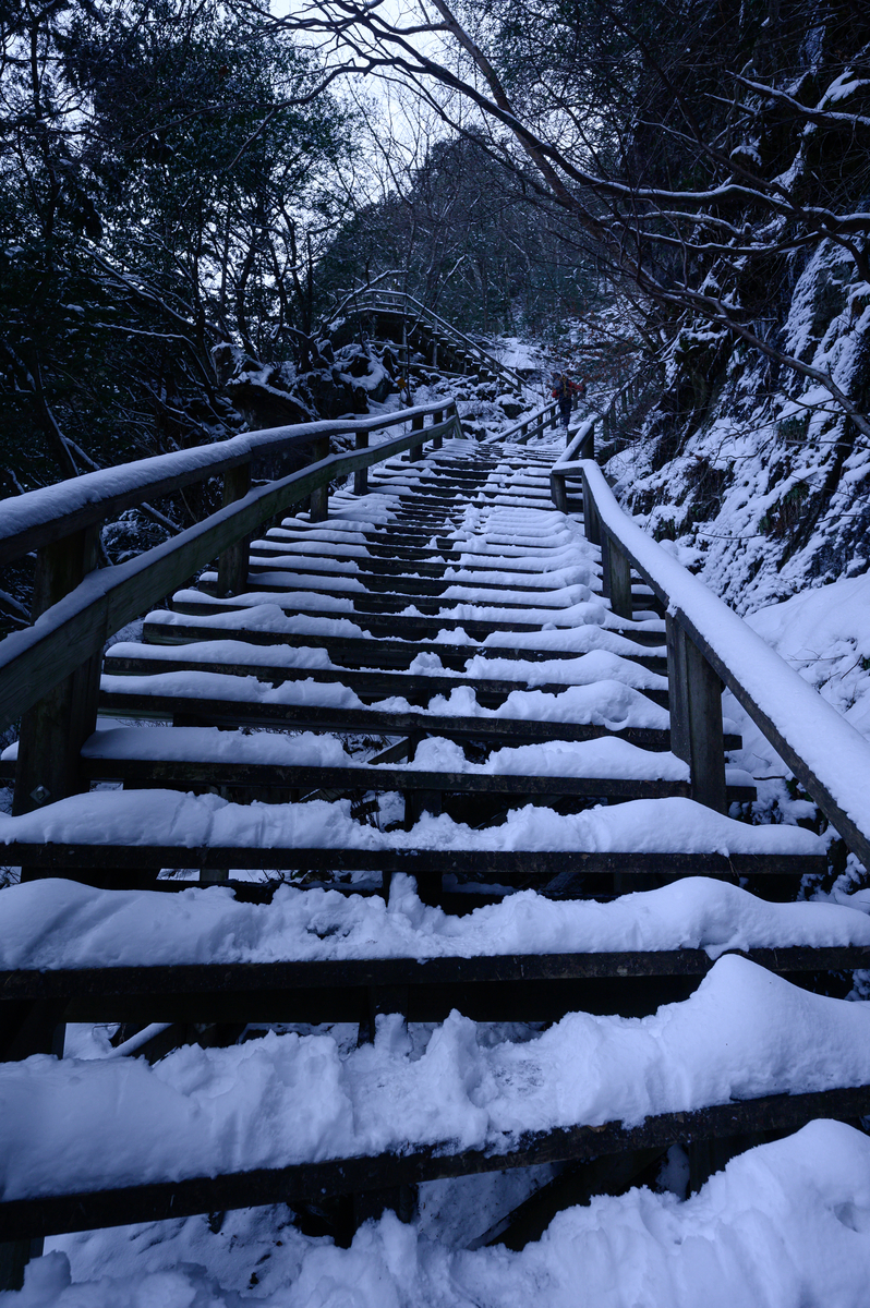 f:id:daitai_Iro:20210406210704j:plain