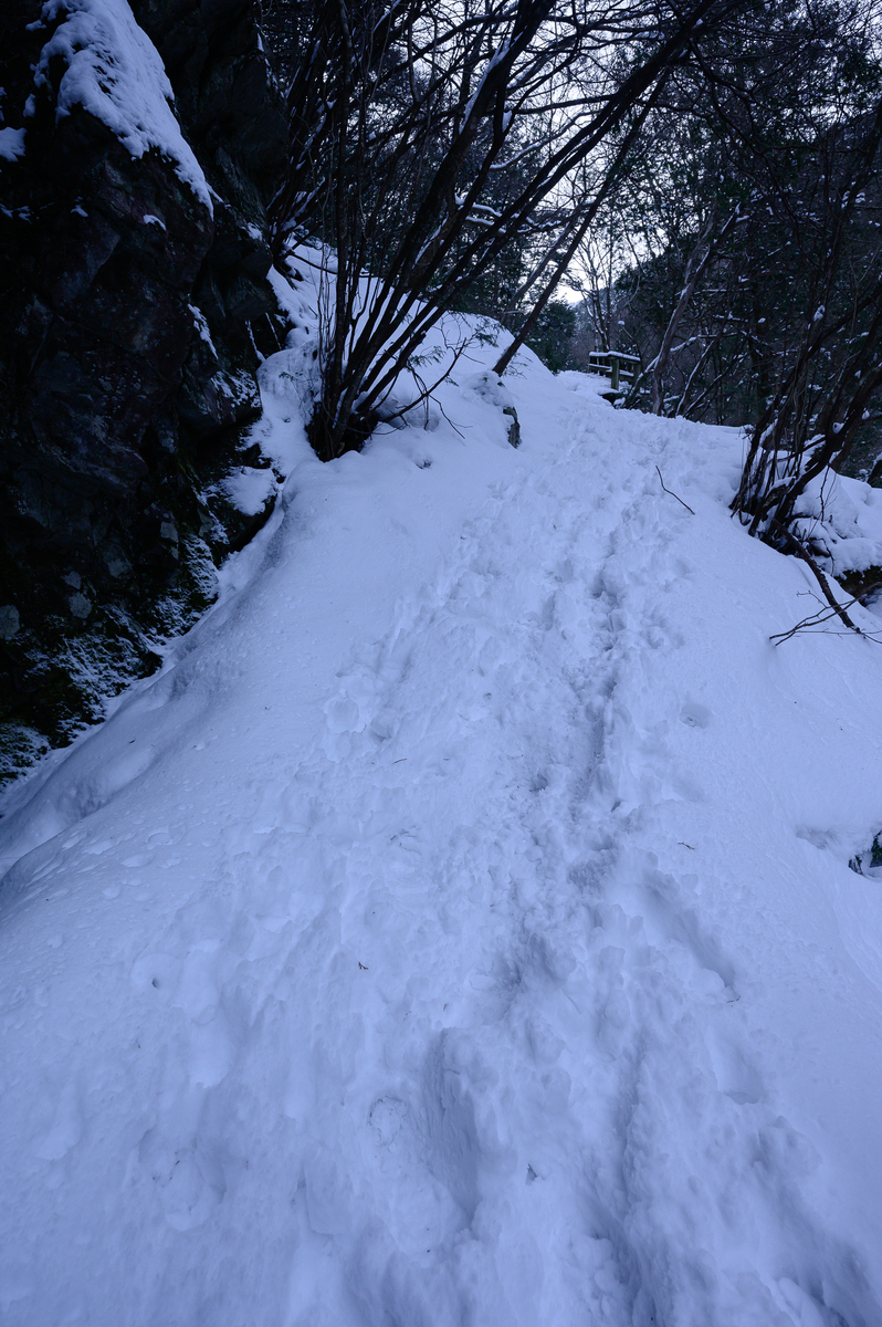 f:id:daitai_Iro:20210406210809j:plain