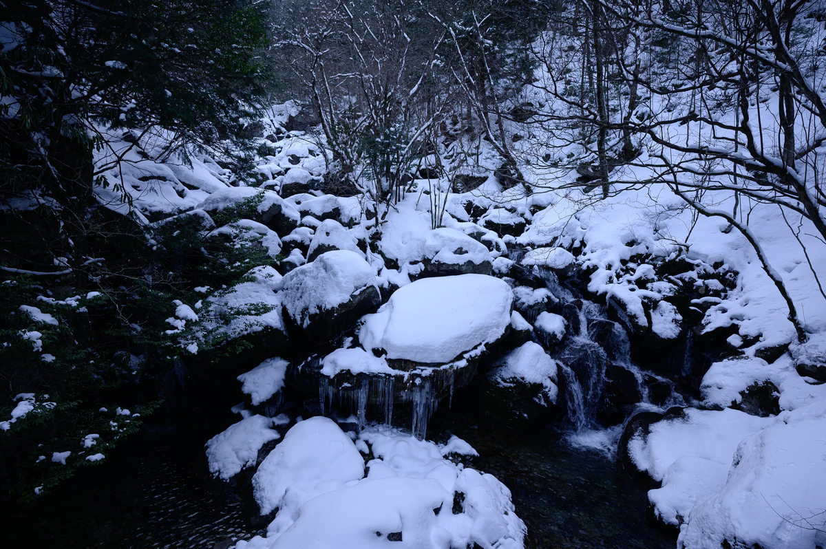 f:id:daitai_Iro:20210406210833j:plain