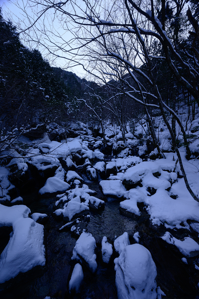 f:id:daitai_Iro:20210406211055j:plain