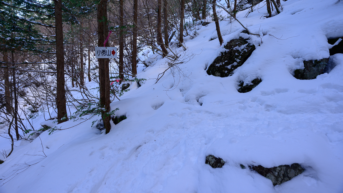 f:id:daitai_Iro:20210406211900j:plain