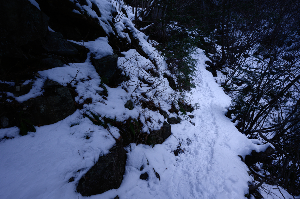 f:id:daitai_Iro:20210406212135j:plain