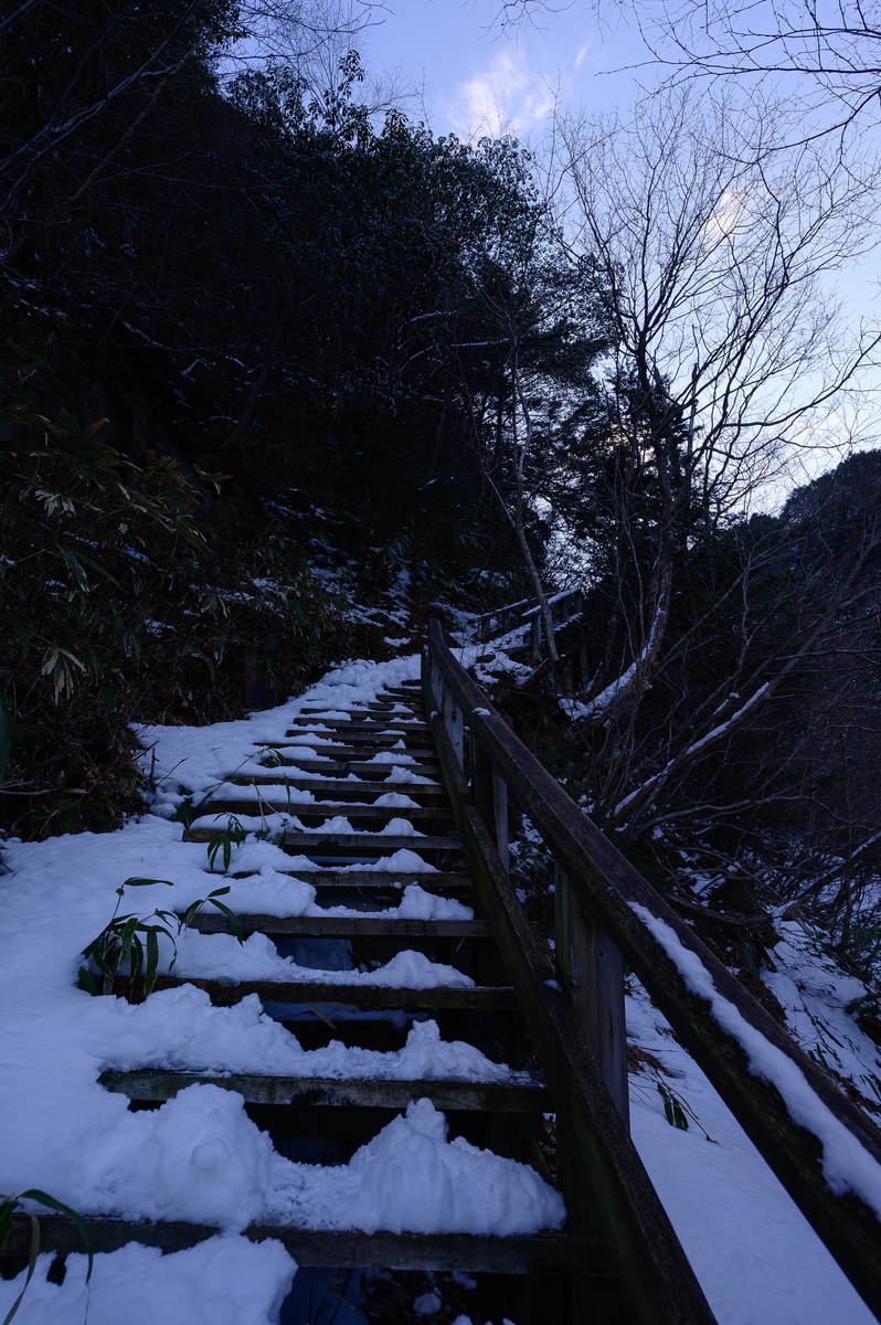 f:id:daitai_Iro:20210406212331j:plain