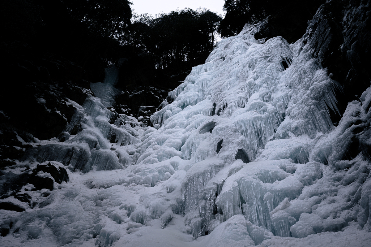 f:id:daitai_Iro:20210406212708j:plain