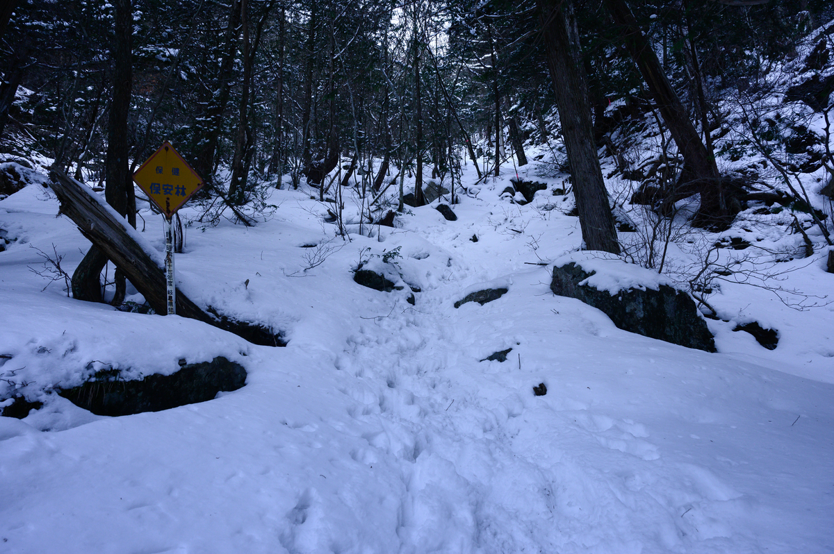 f:id:daitai_Iro:20210406213125j:plain