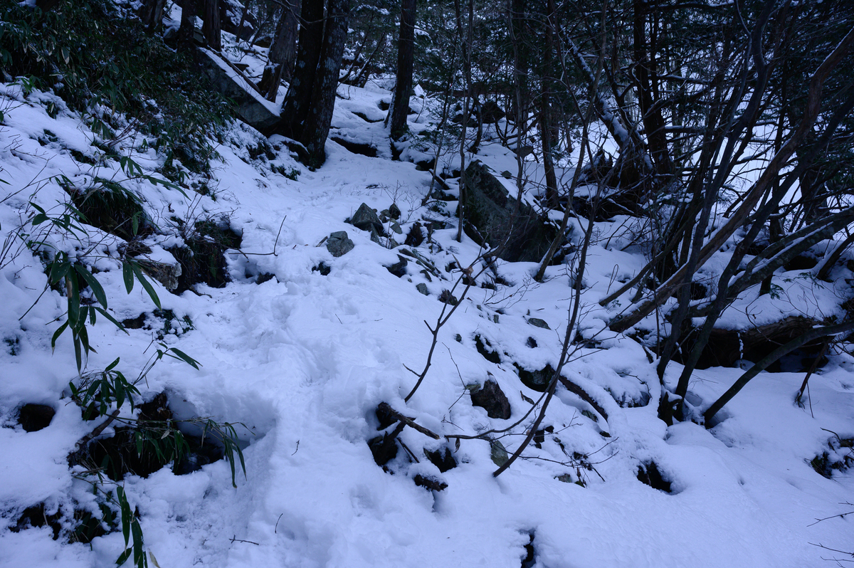 f:id:daitai_Iro:20210406213217j:plain