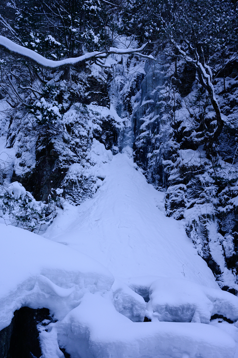 f:id:daitai_Iro:20210406213344j:plain