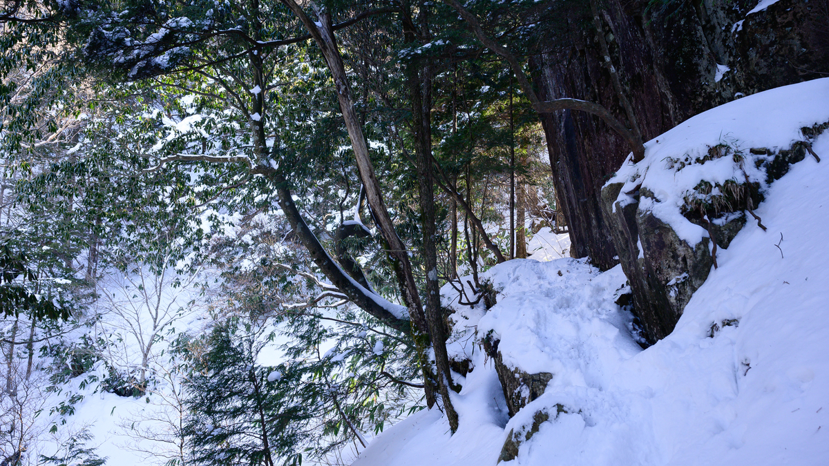 f:id:daitai_Iro:20210406213409j:plain