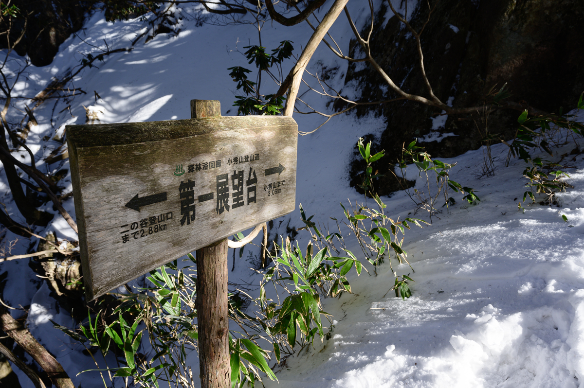 f:id:daitai_Iro:20210406213650j:plain