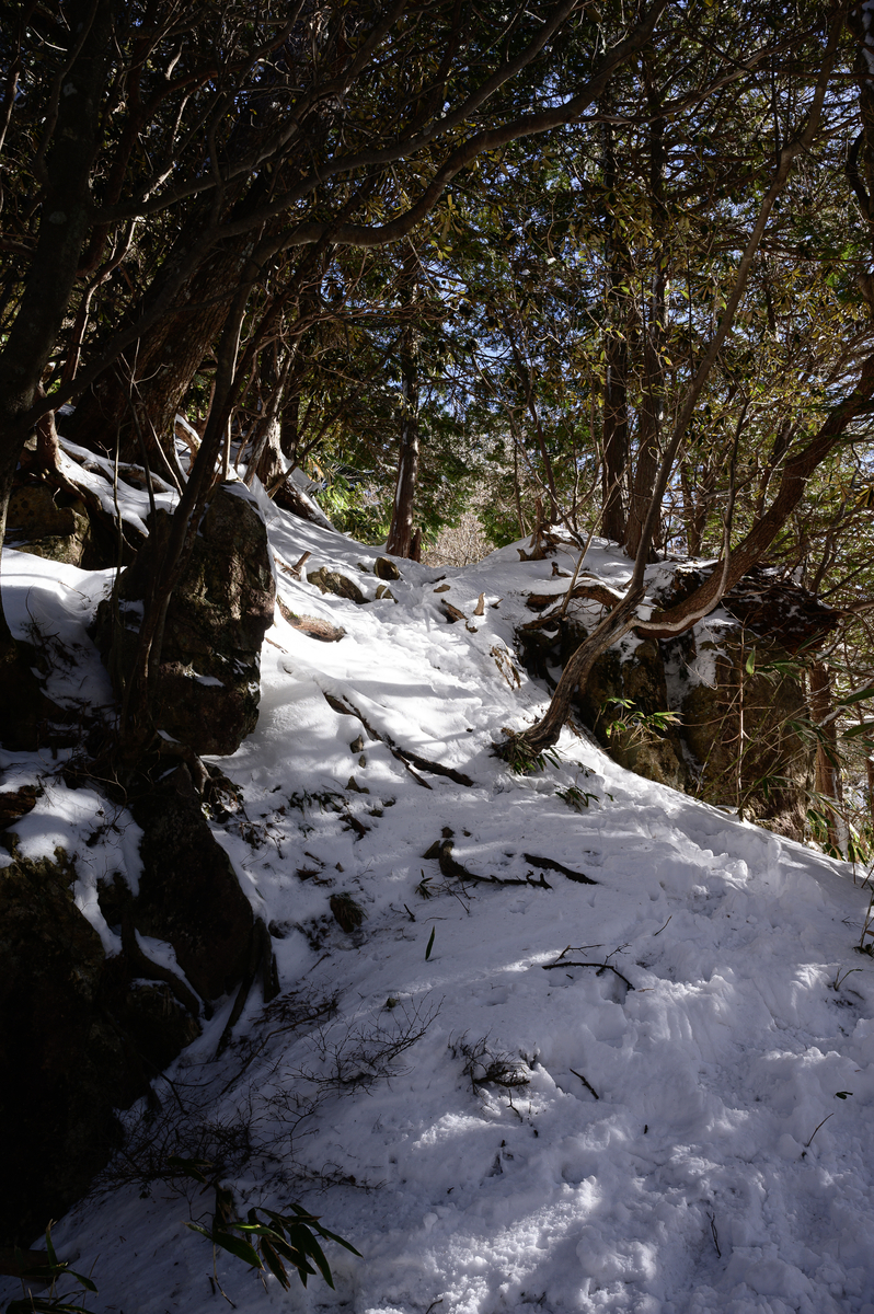 f:id:daitai_Iro:20210406213714j:plain