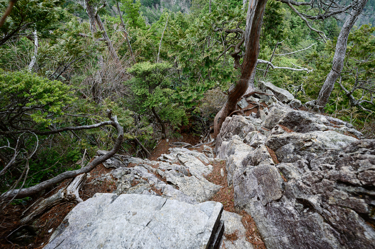 f:id:daitai_Iro:20210406214822j:plain