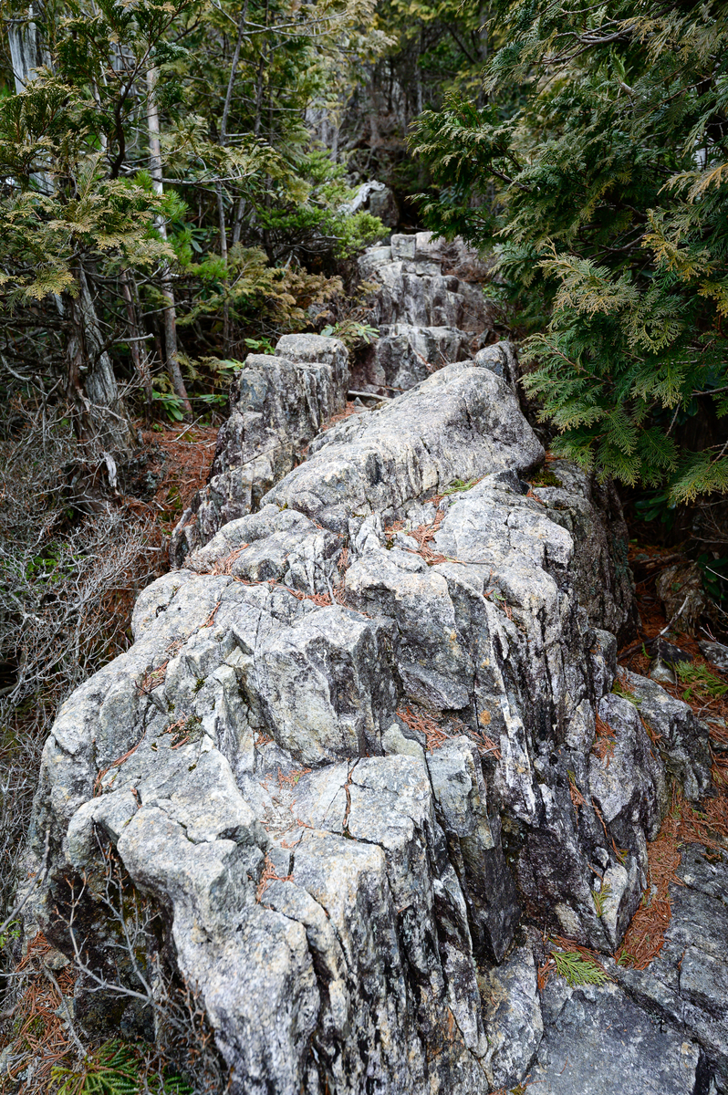 f:id:daitai_Iro:20210406214850j:plain