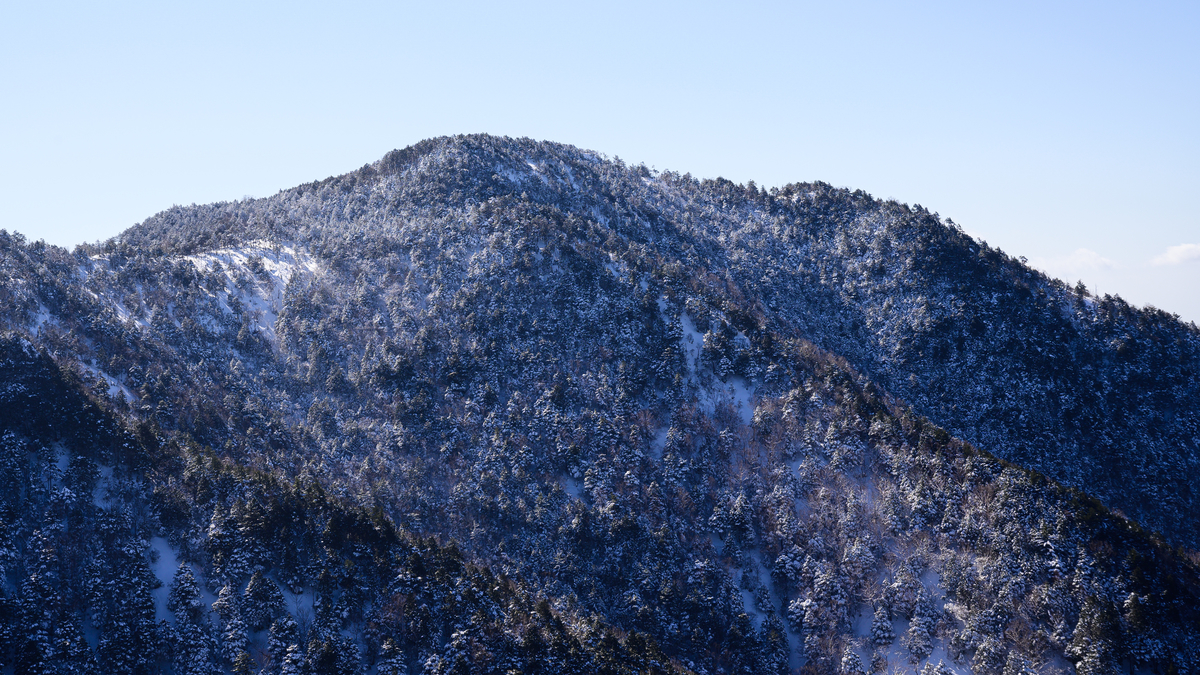 f:id:daitai_Iro:20210406215423j:plain