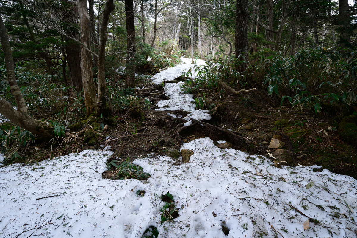 f:id:daitai_Iro:20210406220210j:plain