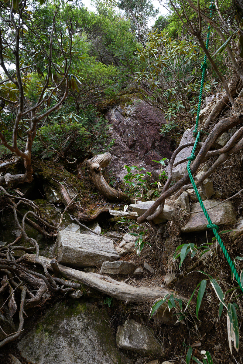 f:id:daitai_Iro:20210406221253j:plain