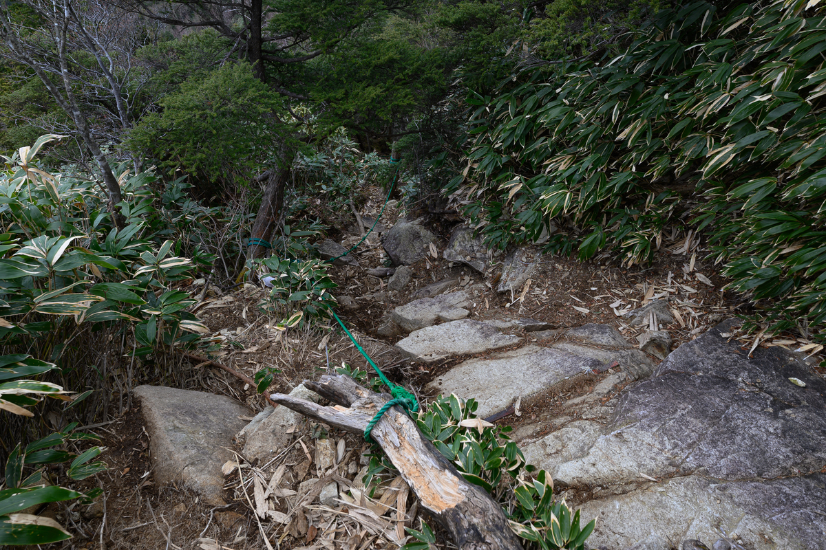 f:id:daitai_Iro:20210406221313j:plain