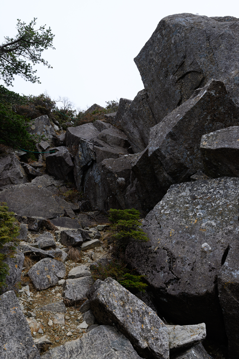 f:id:daitai_Iro:20210406221443j:plain