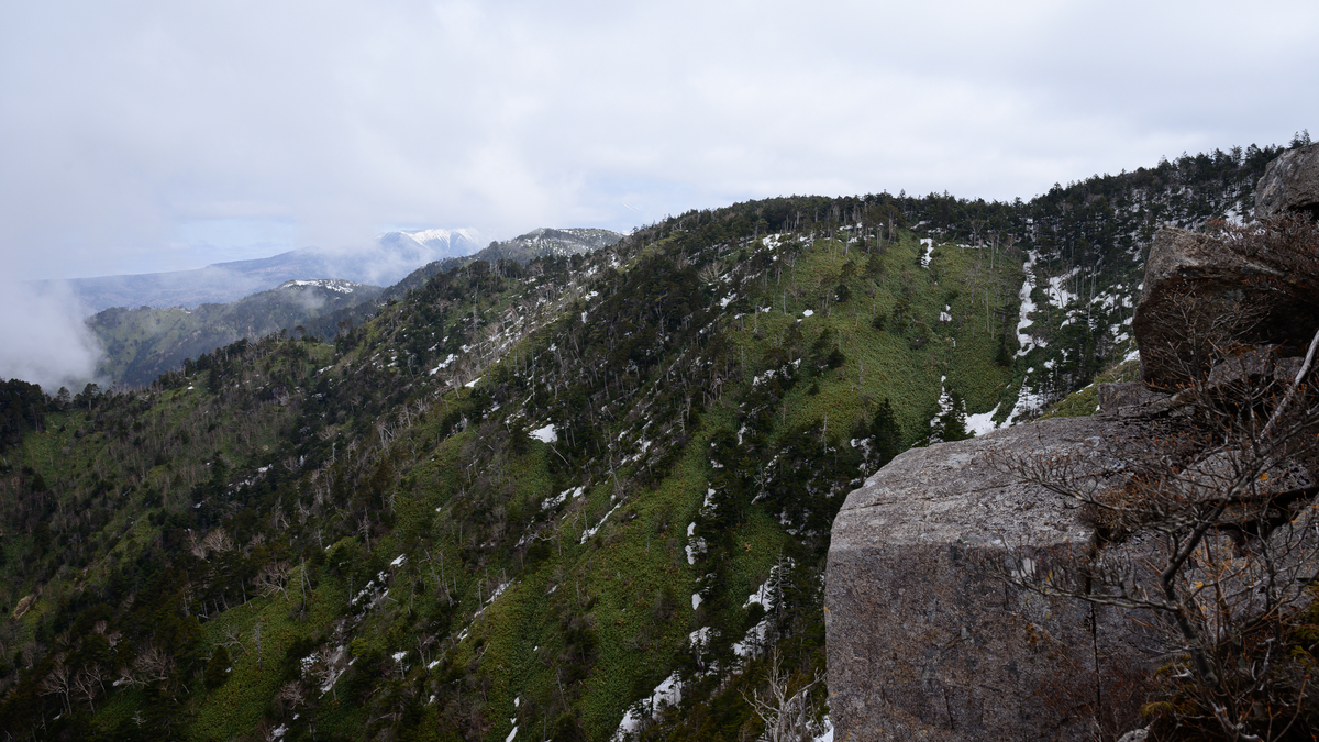 f:id:daitai_Iro:20210406222115j:plain