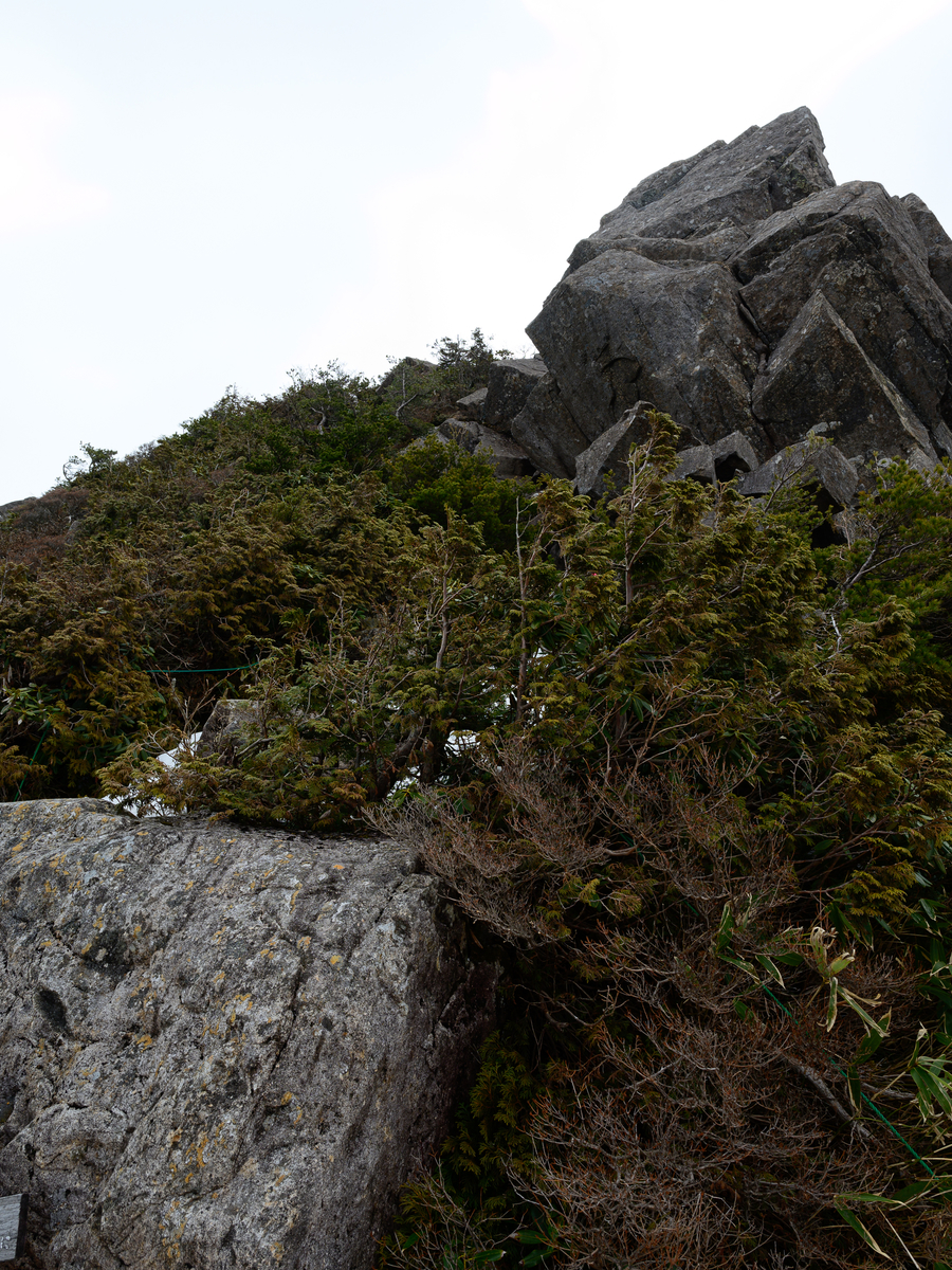 f:id:daitai_Iro:20210406222157j:plain