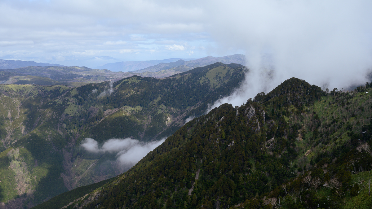 f:id:daitai_Iro:20210406222220j:plain