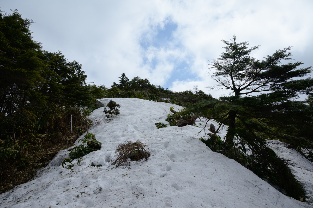 f:id:daitai_Iro:20210406222559j:plain