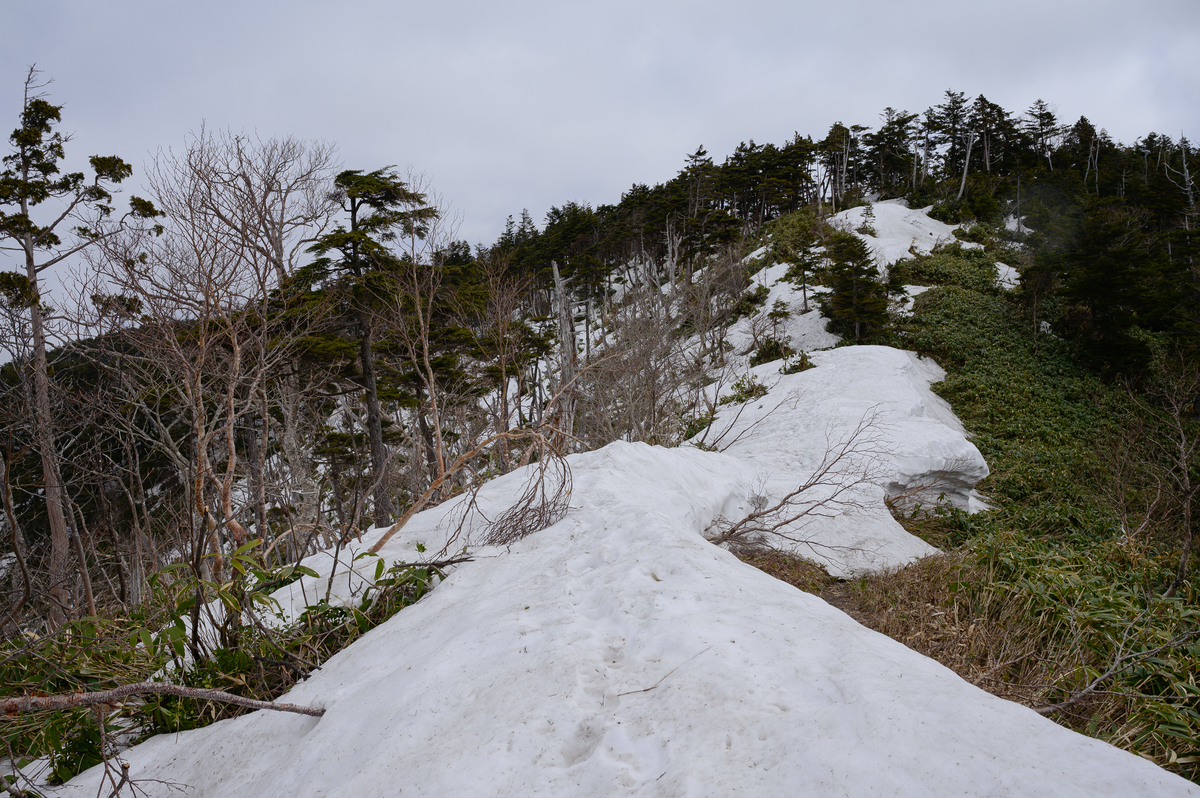 f:id:daitai_Iro:20210407202931j:plain