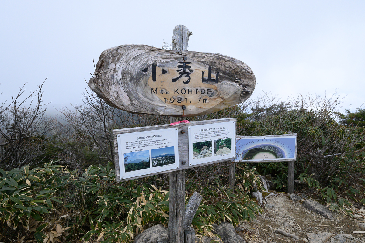 f:id:daitai_Iro:20210407203559j:plain