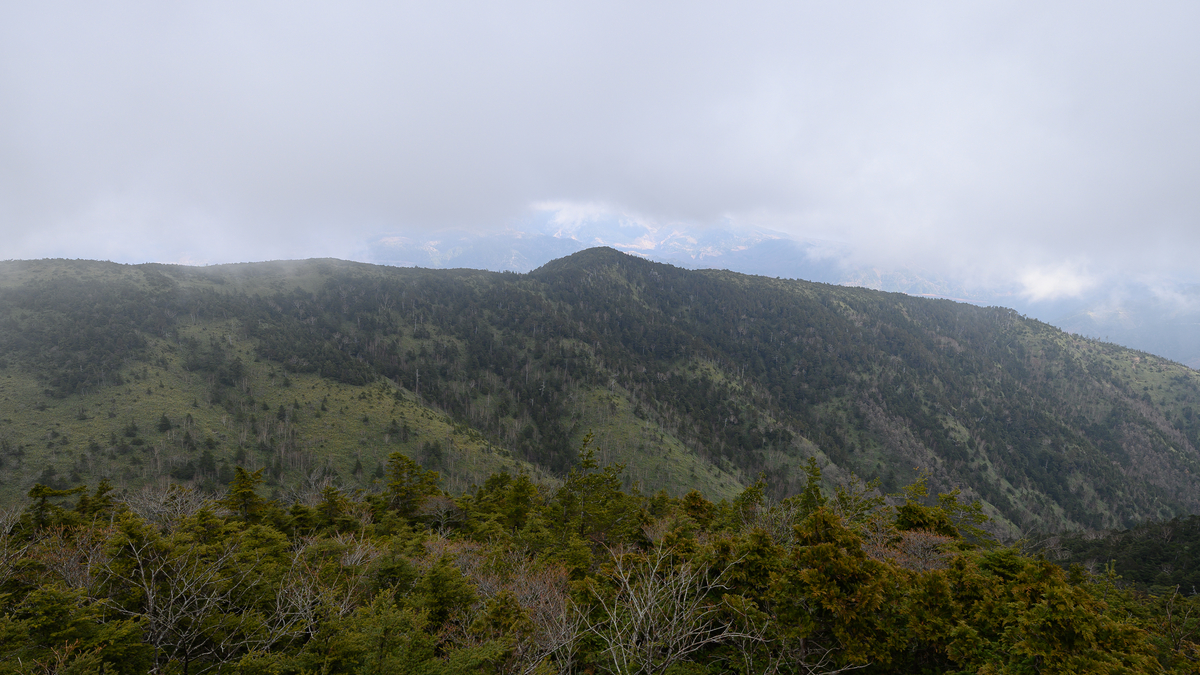 f:id:daitai_Iro:20210407203632j:plain