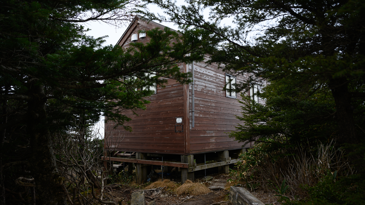 f:id:daitai_Iro:20210407203836j:plain