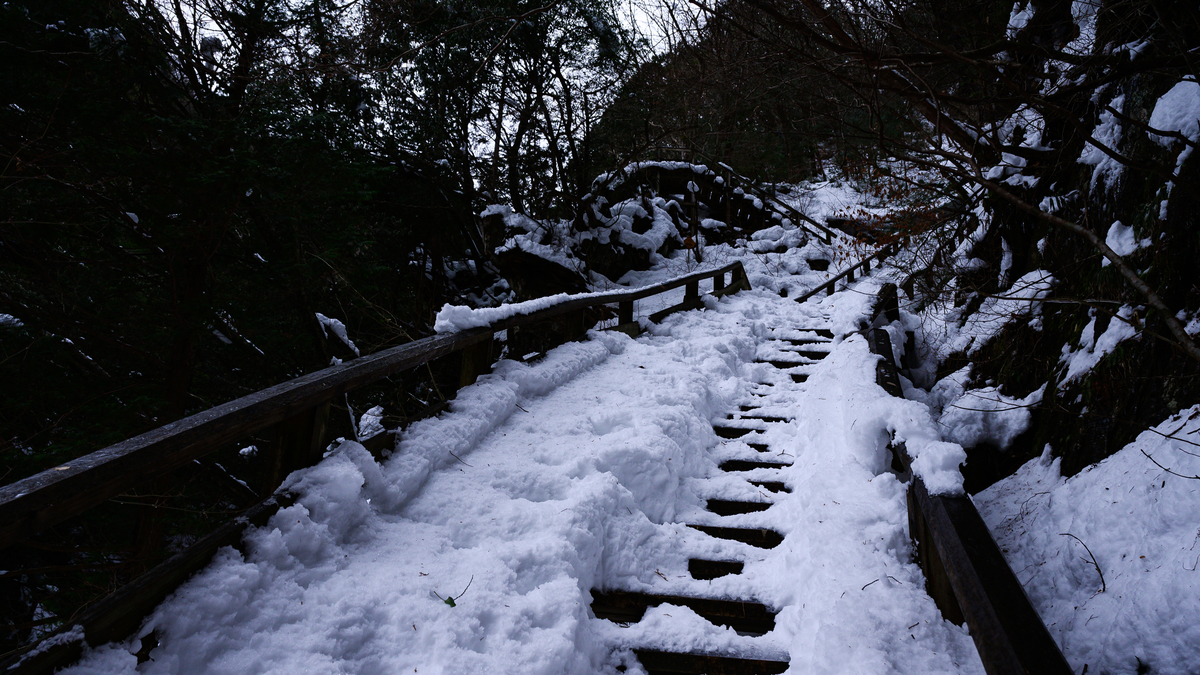 f:id:daitai_Iro:20210407204731j:plain