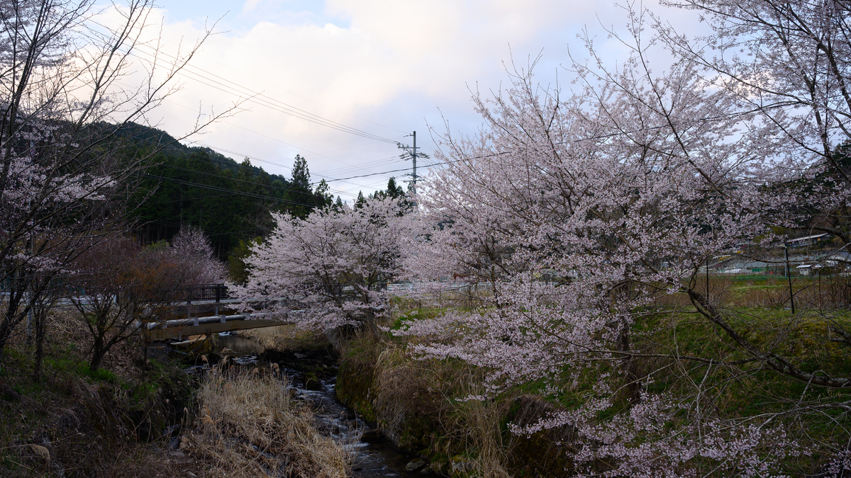 f:id:daitai_Iro:20210413221509j:plain