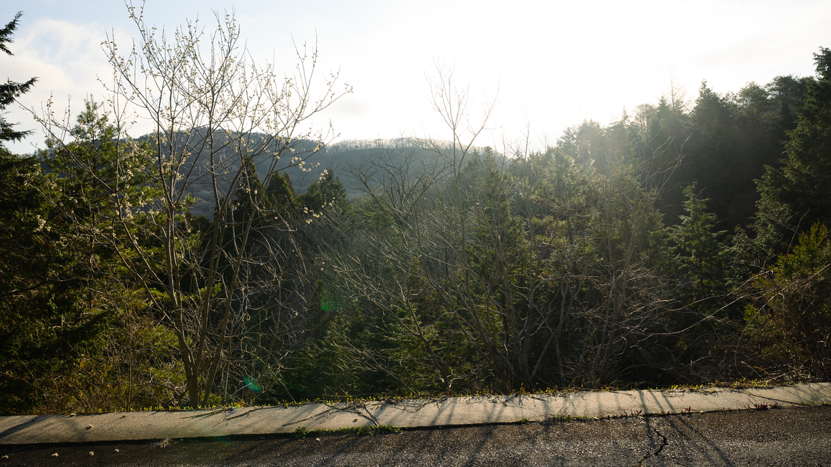 f:id:daitai_Iro:20210413222126j:plain