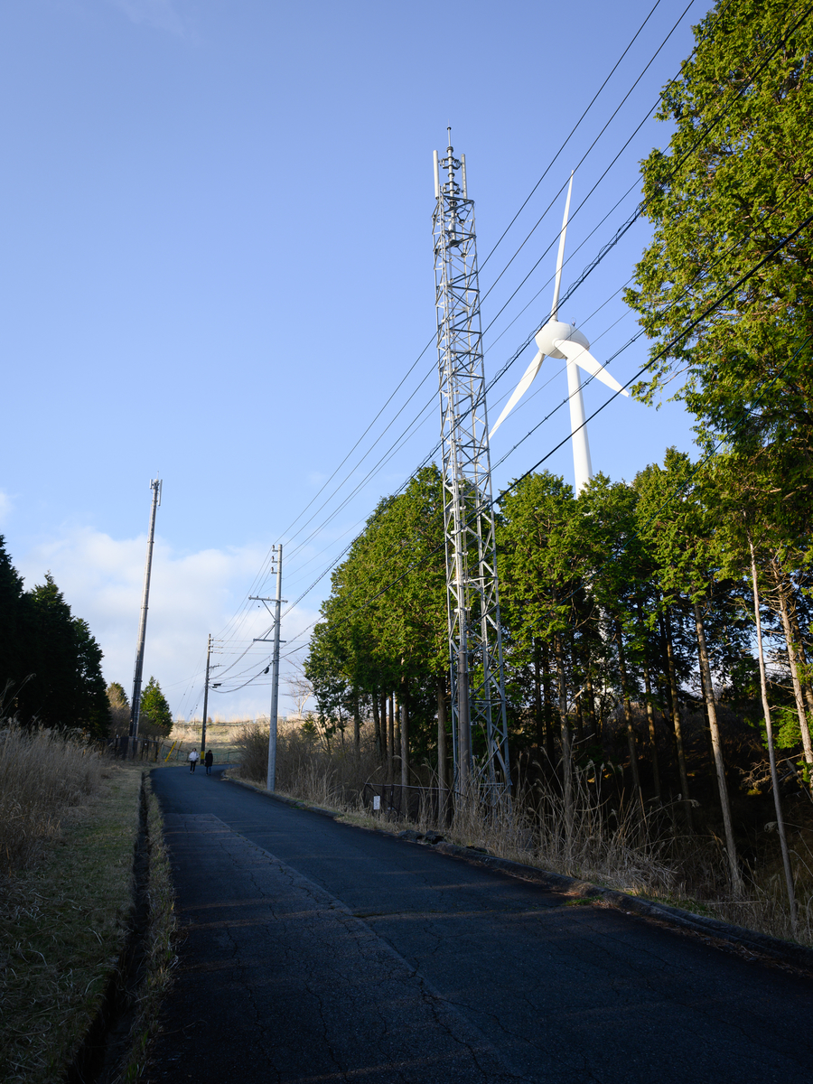 f:id:daitai_Iro:20210413222227j:plain